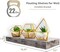 Sorbus 3 Pack Wall Mounted Floating Shelves - for Bedroom, Kitchen, Living Room, Office - Floating Shelf for Trophies, Books, Frames, etc